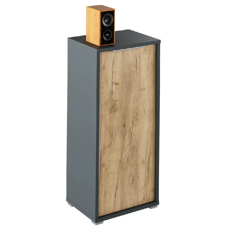 Dulap, grafit/stejar artisan, RIOMA NEW TYP 10 - Se vinde rapid