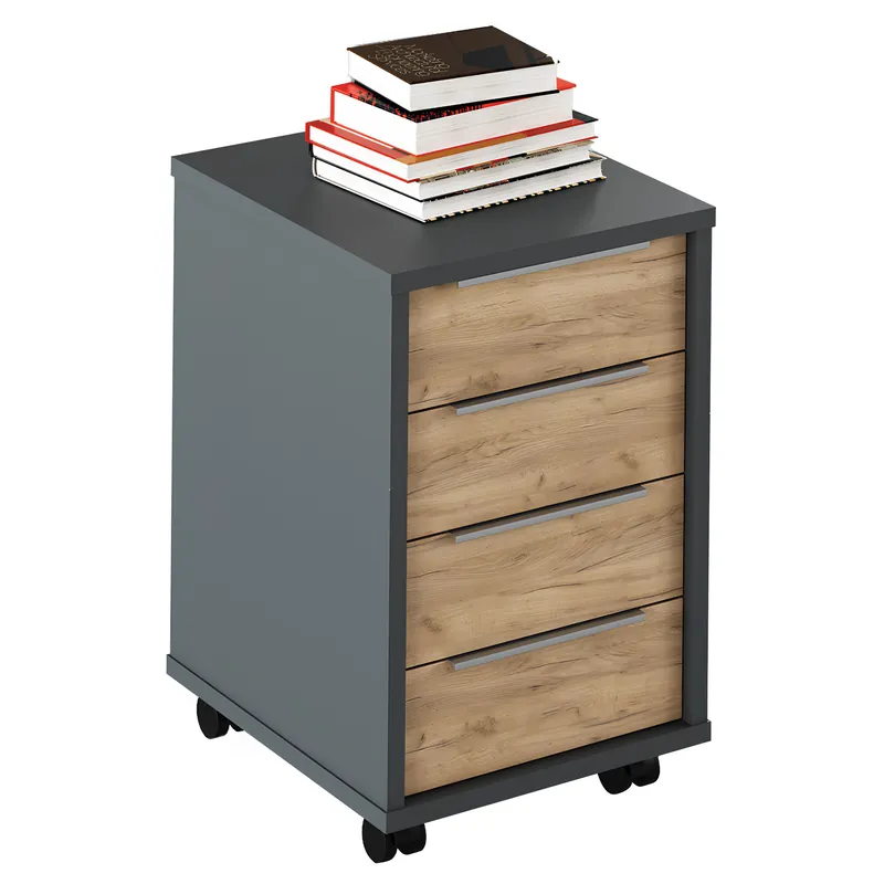 Container, grafit/stejar artisan, RIOMA NEW TYP 14 | Calitate profesională