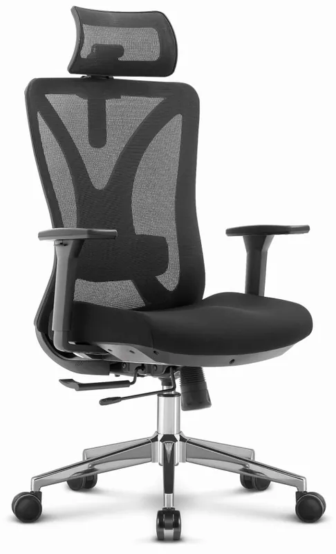Scaun de birou ergonomic de înaltă calitate HC-1054 - negru | Plasează comanda acum