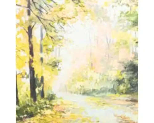Tablou Canvas Autumn Forest 40x40 Cm | Ofertă online