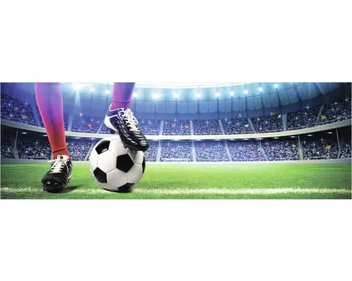 Produs apreciat - Tablou Canvas Stadion De Fotbal 50x150 Cm