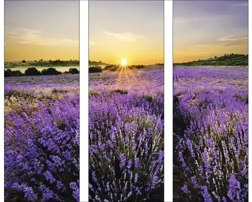 Tablou Sticla Beautiful Lavender 3 X 30x80 Cm | Reducere