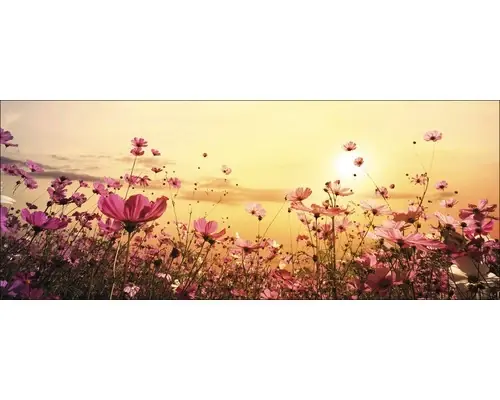 Favoritul clienților - Tablou Sticla Flowerfield Iii 30x80 Cm