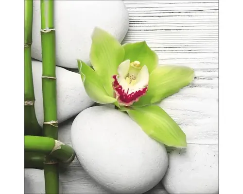 Tablou Sticla Flowers Stones Bamboos Ii 30x30 Cm - Ofertă flash