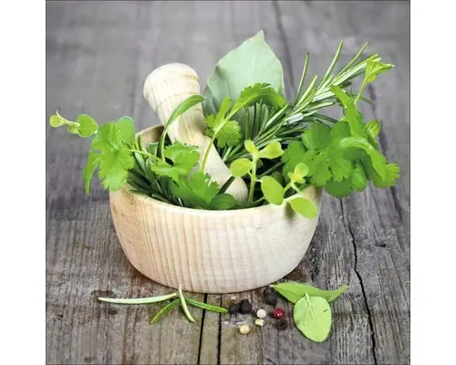 Calitate profesională - Tablou Sticla Green Basil In Bowl I 20x20 Cm