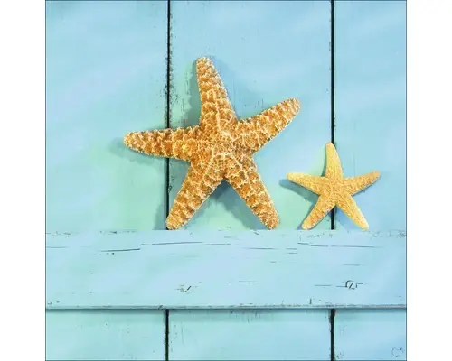 Produs nou lansat - Tablou Sticla Stea De Mare 30x30 Cm
