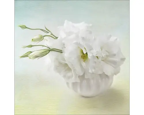 Ofertă promoțională - Tablou Sticla Sweet Peony I 20x20 Cm