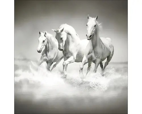 Tablou Sticla White Horses 20x20 Cm - Produs recomandat
