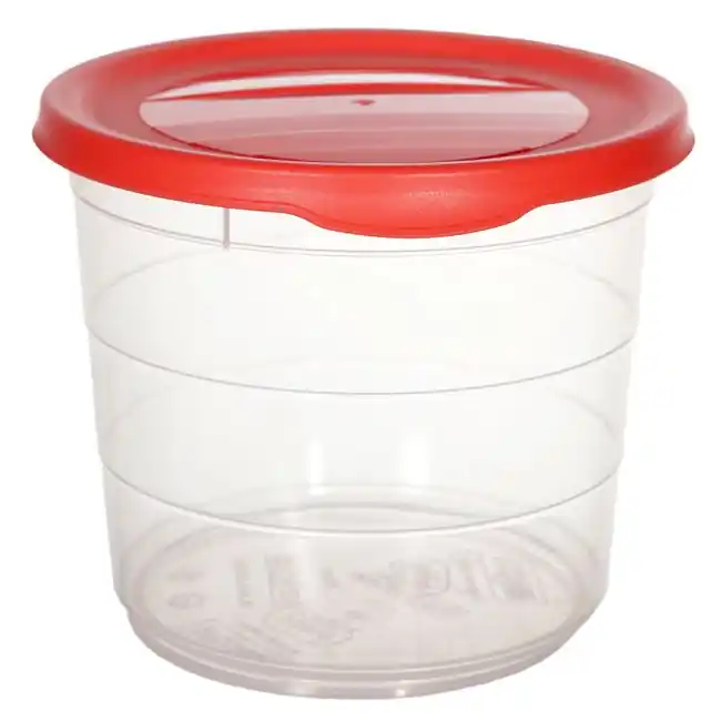 Produs de top | Recipient cu capac pentru alimente,plastic,700 ml - OEM