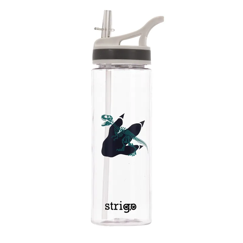 Bidon Strigo Dinosaur Collection, 600 ml - Strigo - Produs nou
