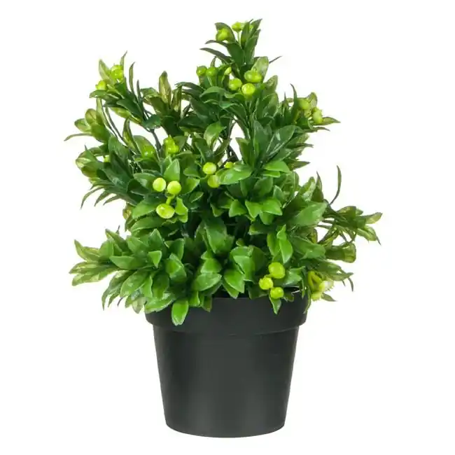 Ghiveci decorativ cu fructe si frunze,plastic,verde,25 cm - OEM - Produs nou lansat