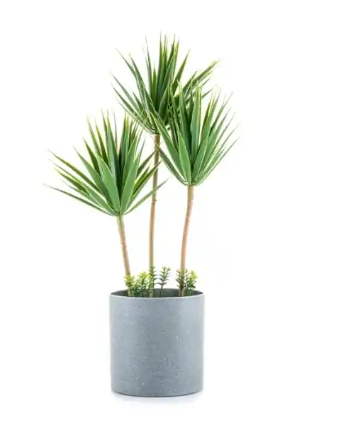 Planta decorativa artificiala Dracaena marginata, Verde, 40 cm - OEM | Se vinde rapid