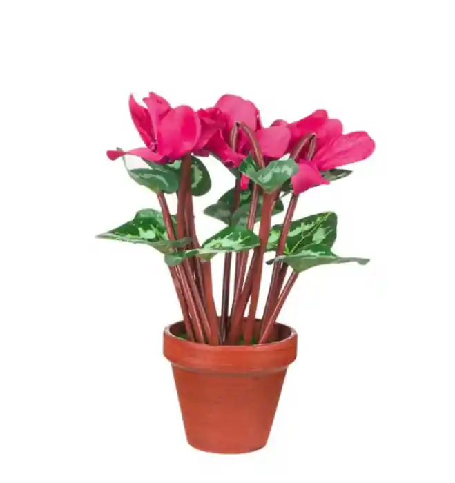 Floare decorativa artificial in ghiveci ,Plastic, Roz-Verde, 27 cm - OEM | Produs adăugat recent