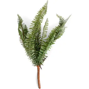 Plantă artificială Deco Ramura decorativa de Feriga - Disponibil