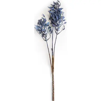 Produs nou lansat | Plantă artificială Deco Ramura decorativa de Ruscus
