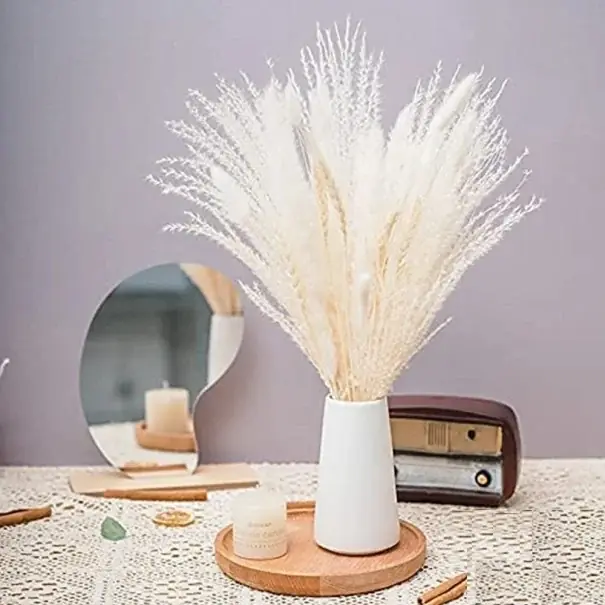 Top vânzări - iarba decorativa de pampas 70 buc