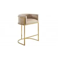 Promoție - Scaun de bar din Catifea Bej si Otel inoxidabil Auriu Hx88Lx58xA50cm Elegance
