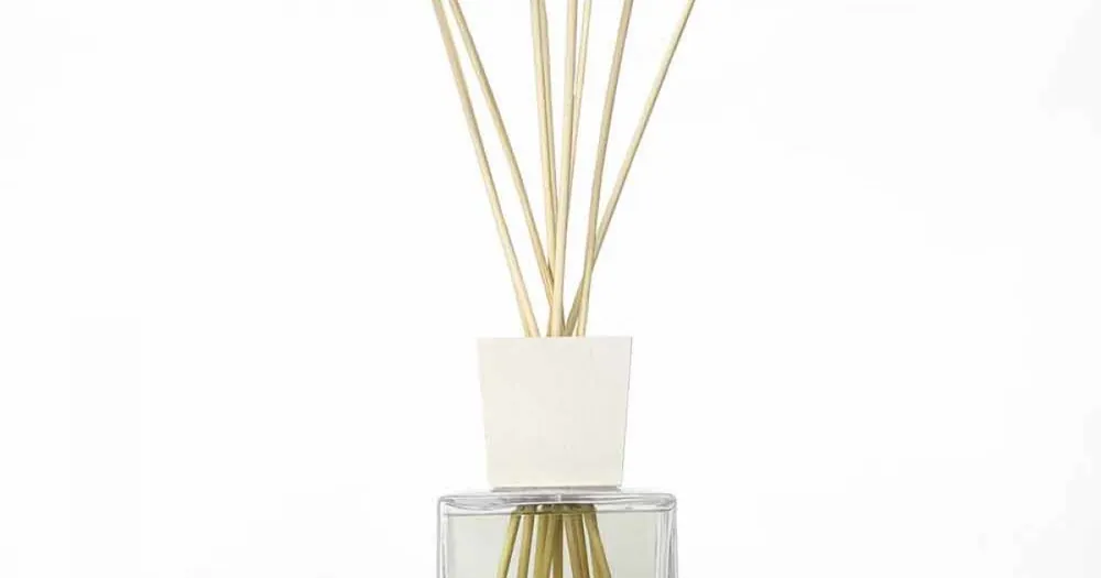 Cumpără online - Difuzor Reed Bamboo Lime Parfum 2,5 Lt cu Bastoane - Ariadicapri